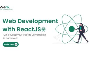I will do web development using ReactJS framework