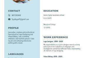 Professional Resume/CV design service
